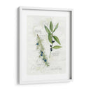 Hoja De Laurel Y Enebro - Elissa Della-Piana | Cuadro decorativo de Canvas Lab