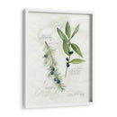 Hoja De Laurel Y Enebro - Elissa Della-Piana | Cuadro decorativo de Canvas Lab