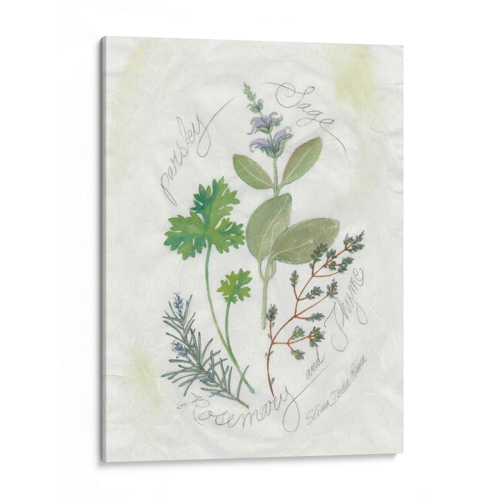 Perejil Y Sabio - Elissa Della-Piana | Cuadro decorativo de Canvas Lab