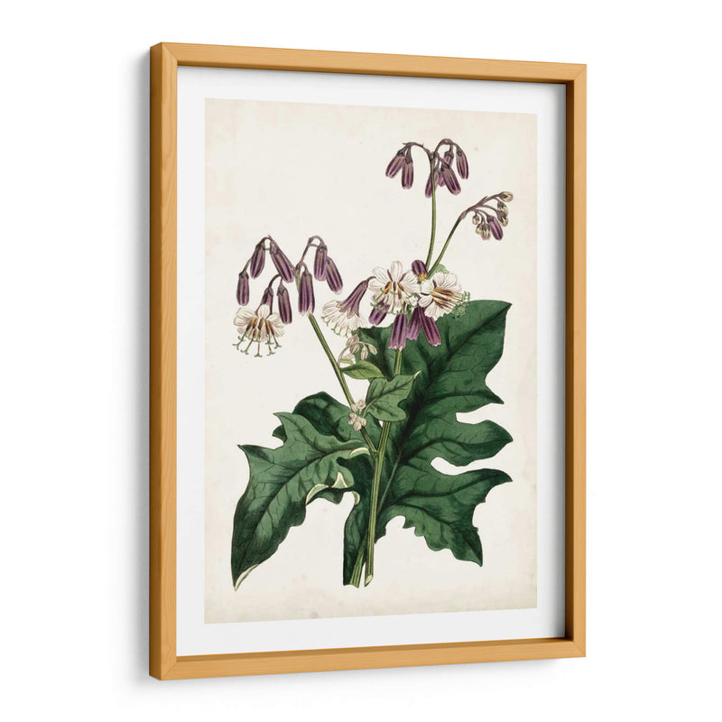 Lavanda Florals Vii - Curtis | Cuadro decorativo de Canvas Lab
