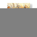 Flores Brillantes Y Audaz I - Tim OToole | Cuadro decorativo de Canvas Lab