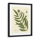 Ferno Antiguo Ii - Vision Studio | Cuadro decorativo de Canvas Lab