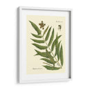 Ferno Antiguo Ii - Vision Studio | Cuadro decorativo de Canvas Lab