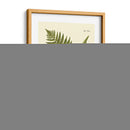 Antiguo Fern Iii - Vision Studio | Cuadro decorativo de Canvas Lab
