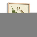 Helecho Antiguo V - Vision Studio | Cuadro decorativo de Canvas Lab