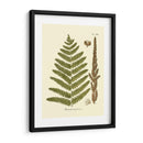 Antiguo Fern Vi - Vision Studio | Cuadro decorativo de Canvas Lab