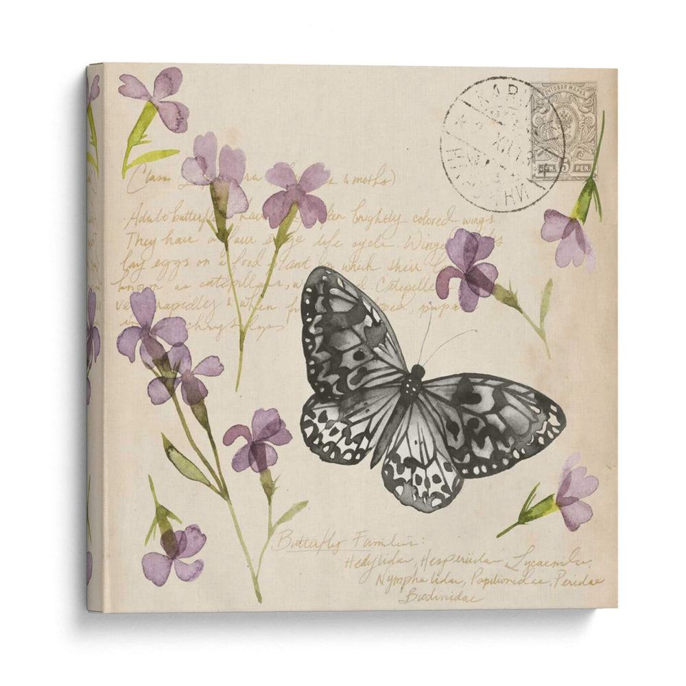 Colección De Flores Presionada A - Grace Popp | Cuadro decorativo de Canvas Lab