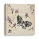 Colección De Flores Presionada A - Grace Popp | Cuadro decorativo de Canvas Lab