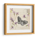 Colección De Flores Presionada A - Grace Popp | Cuadro decorativo de Canvas Lab