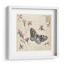 Colección De Flores Presionada A - Grace Popp | Cuadro decorativo de Canvas Lab