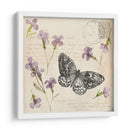 Colección De Flores Presionada A - Grace Popp | Cuadro decorativo de Canvas Lab