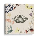Colección De Flores Presionada E - Grace Popp | Cuadro decorativo de Canvas Lab
