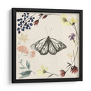 Colección De Flores Presionada E - Grace Popp | Cuadro decorativo de Canvas Lab