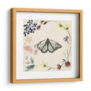 Colección De Flores Presionada E - Grace Popp | Cuadro decorativo de Canvas Lab