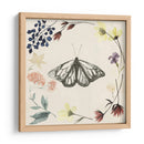 Colección De Flores Presionada E - Grace Popp | Cuadro decorativo de Canvas Lab