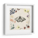 Colección De Flores Presionada E - Grace Popp | Cuadro decorativo de Canvas Lab
