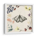 Colección De Flores Presionada E - Grace Popp | Cuadro decorativo de Canvas Lab