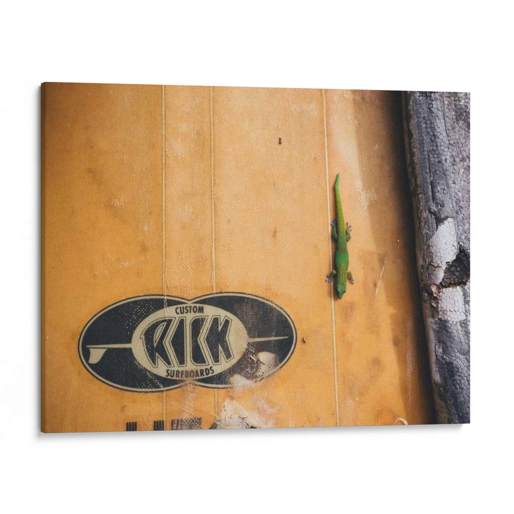 Hawaii Ver Ix - Adam Mead | Cuadro decorativo de Canvas Lab