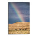 Cuatro caballos y el arcoíris | Cuadro decorativo de Canvas Lab