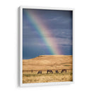 Cuatro caballos y el arcoíris | Cuadro decorativo de Canvas Lab