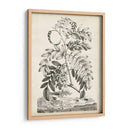 Escénico Botánico I - Abraham Munting | Cuadro decorativo de Canvas Lab