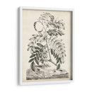 Escénico Botánico I - Abraham Munting | Cuadro decorativo de Canvas Lab