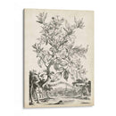 Scenic Botanical Ii - Abraham Munting | Cuadro decorativo de Canvas Lab