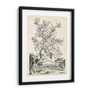 Scenic Botanical Ii - Abraham Munting | Cuadro decorativo de Canvas Lab