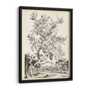 Scenic Botanical Ii - Abraham Munting | Cuadro decorativo de Canvas Lab