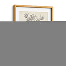 Scenic Botanical Ii - Abraham Munting | Cuadro decorativo de Canvas Lab