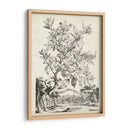 Scenic Botanical Ii - Abraham Munting | Cuadro decorativo de Canvas Lab