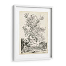 Scenic Botanical Ii - Abraham Munting | Cuadro decorativo de Canvas Lab