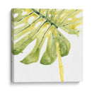 Impresiones Verdes I - June Erica Vess | Cuadro decorativo de Canvas Lab