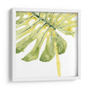 Impresiones Verdes I - June Erica Vess | Cuadro decorativo de Canvas Lab