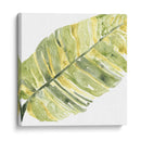 Impresiones Verdes V - June Erica Vess | Cuadro decorativo de Canvas Lab