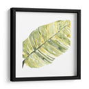 Impresiones Verdes V - June Erica Vess | Cuadro decorativo de Canvas Lab