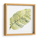 Impresiones Verdes V - June Erica Vess | Cuadro decorativo de Canvas Lab