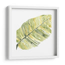 Impresiones Verdes V - June Erica Vess | Cuadro decorativo de Canvas Lab