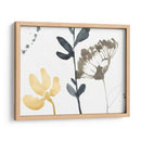 Contornos De Rama Iv - Jennifer Goldberger | Cuadro decorativo de Canvas Lab