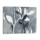 Ramificación Contornos Ix - Jennifer Goldberger | Cuadro decorativo de Canvas Lab