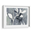 Ramificación Contornos Ix - Jennifer Goldberger | Cuadro decorativo de Canvas Lab