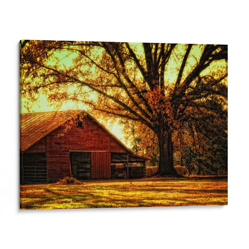Último Árbol De Pie - Danny Head | Cuadro decorativo de Canvas Lab