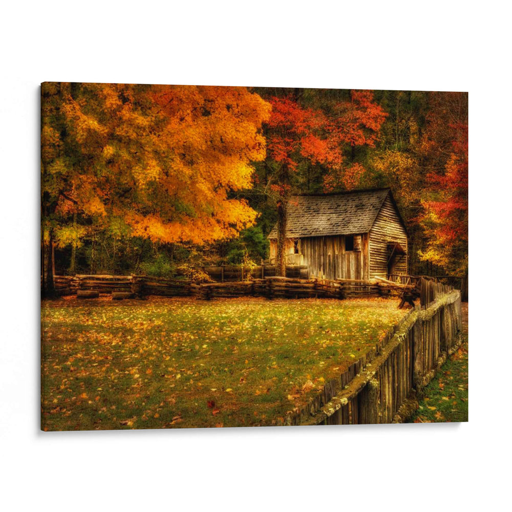 Otoño En El Molino - Danny Head | Cuadro decorativo de Canvas Lab