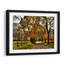 Mañana Lluviosa En Sparks Lane - Danny Head | Cuadro decorativo de Canvas Lab