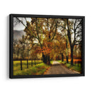 Mañana Lluviosa En Sparks Lane - Danny Head | Cuadro decorativo de Canvas Lab