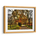 Mañana Lluviosa En Sparks Lane - Danny Head | Cuadro decorativo de Canvas Lab