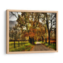 Mañana Lluviosa En Sparks Lane - Danny Head | Cuadro decorativo de Canvas Lab