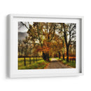 Mañana Lluviosa En Sparks Lane - Danny Head | Cuadro decorativo de Canvas Lab