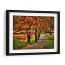 Mañana Lluviosa En Hyatt Lane - Danny Head | Cuadro decorativo de Canvas Lab