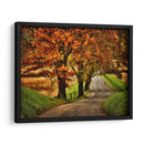 Mañana Lluviosa En Hyatt Lane - Danny Head | Cuadro decorativo de Canvas Lab